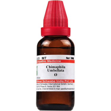 https://cdn.shopify.com/s/files/1/1857/6931/products/ysZun3JhiI.jpg?v=1637737648